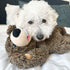 Tall Tails Grizzly Rope Body Dog Toy - 14"