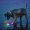 Nite Ize Glowstreak LED Ball - Disc-O