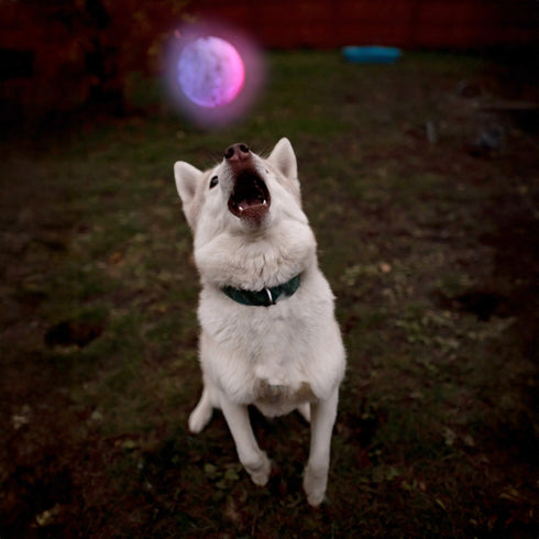 Nite Ize Glowstreak LED Ball - Disc-O