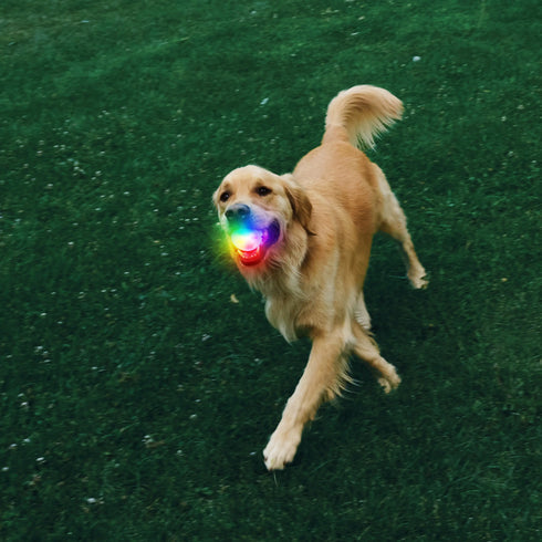 NiteIze Glowstreat Rechargeable LED Ball - Disc-O