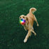 NiteIze Glowstreat Rechargeable LED Ball - Disc-O