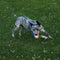 NiteIze Glowstreat Rechargeable LED Ball - Disc-O