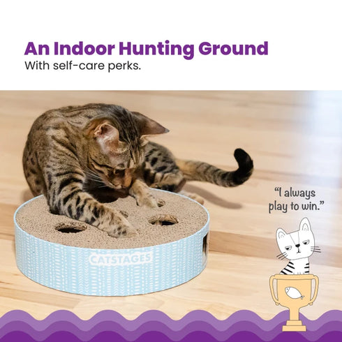 Catstages Scratch N' Hunt Puzzle Cat Toy