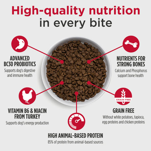 Nulo FreeStyle High-Protein Dry Dog Food & Sweet Potato - Turkey - 11lb Bag