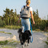 Cleverpup Porter Dog Gear Backpack - Heather Grey