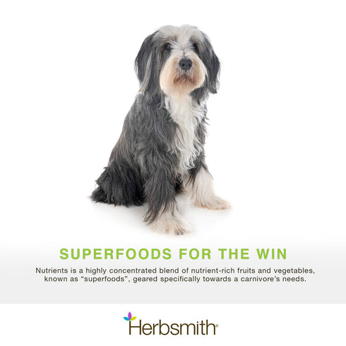 Herbsmith Nutrients Vitamins & Mineral Dog Supplement - 6.5oz Powder