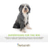 Herbsmith Nutrients Vitamins & Mineral Dog Supplement - 6.5oz Powder