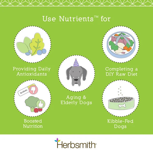 Herbsmith Nutrients Vitamins & Mineral Dog Supplement - 6.5oz Powder