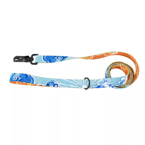 Coastal Subline Dog Leash - 6' - Land & Sea