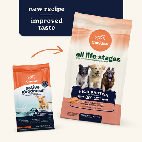 Canidae All Life Stages High Protein Dry Dog Food - Salmon & Ancient Grain - 27lb Bag