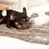 Pet Parents All Purpose + Allergy Pet WiPees - 100 Count