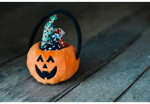 P.L.A.Y. Howl-o-ween Treat Basket Dog Toy