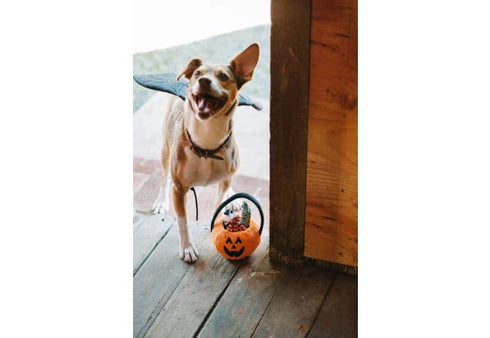 P.L.A.Y. Howl-o-ween Treat Basket Dog Toy