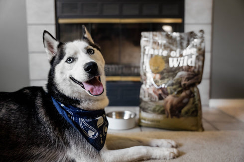 Taste of the Wild Pine Forest Dry Dog Food - Roasted Venison - 14lb Bag