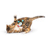 Huxley & Kent Holiday Bird Chirpy Cat Toy