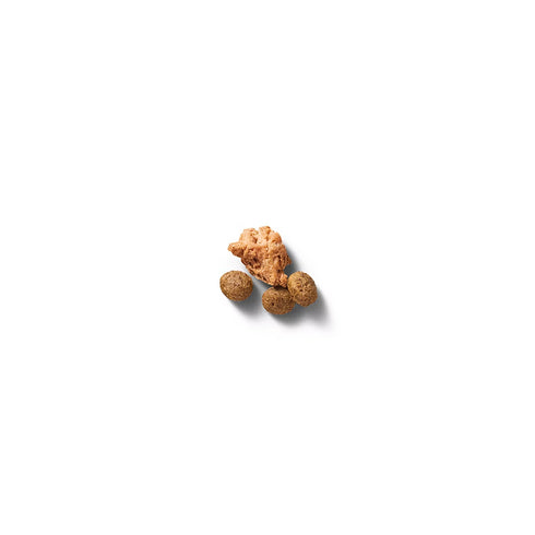 Purina Pro Plan Adult 7+ Small Breed Dry Dog Food - Shredded Blend Chicken & Rice - 6lb Bag