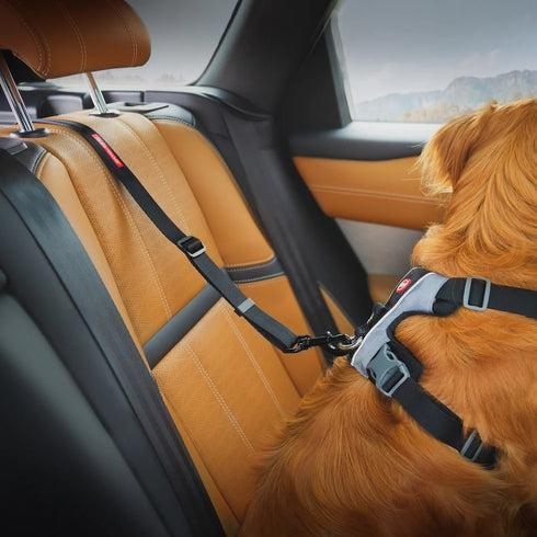 EZYDOG Click™ ISOFIX Seatbelt Attachment For Dogs