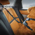 EZYDOG Click™ ISOFIX Seatbelt Attachment For Dogs