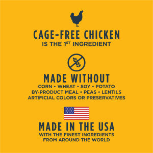 Instinct Raw Boost Whole Grain Dry Dog Food - Real Chicken & Brown Rice - 20lb Bag