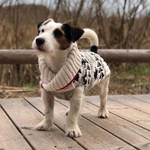Chilly Dog Knitted Dog Sweater - XX-Large - Jackson