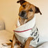 Chilly Dog Knitted Dog Sweater - XX-Large - Jackson