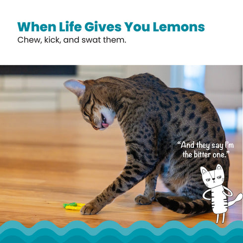 Catstages Lemon Teether Yellow Cat Toy