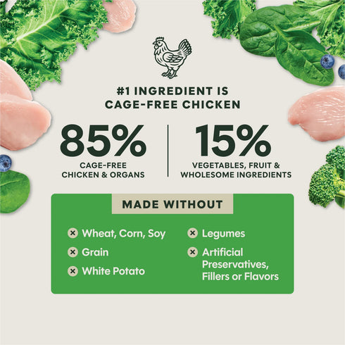 Instinct FreshDried Freeze Dried Dog Food - Chicken & Greens Blend - 23oz Bag