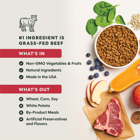 Instinct Be Natural Dry Dog Food - Real Beef & Barley - 25lb Bag