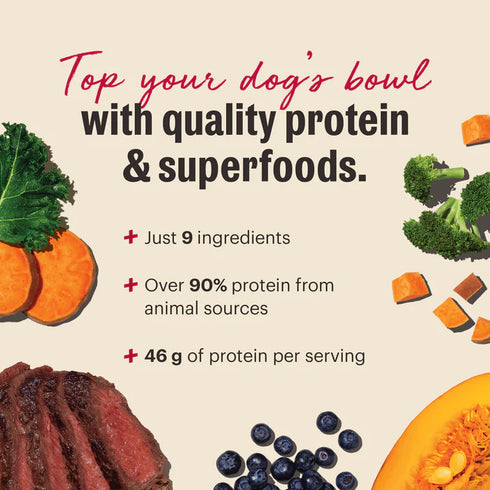 The Honest Kitchen Protein Plus+ Grain Free Dog Food Topper - Beef & Superfoods - 12oz Pouch