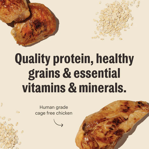 The Honest Kitchen Whole Grain Clusters Dry Dog Food - Chicken - 20lb Bag