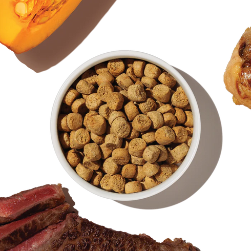 The Honest Kitchen Grain Free Protein Plus Dry Dog Food - Beef & Chicken - 4lb Bag