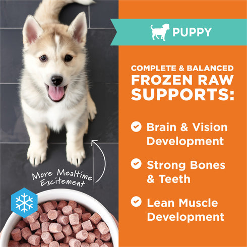 Instinct Raw Frozen Bites Puppy Frozen Dog Food - Cage-Free Chicken - 3lb Bag