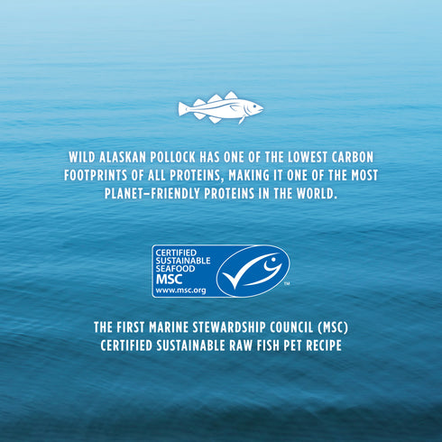 Instinct Longevity Adult 7+ Freeze Dried Dog Food - Pollock - 14oz Bag