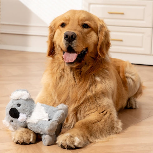 Tall Tails Plush Kola Dog Toy - 8"