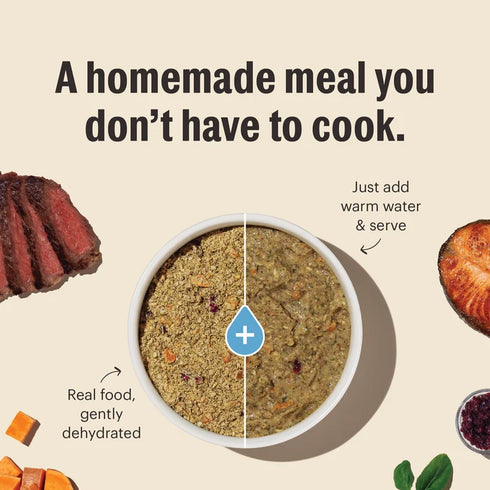 The Honest Kitchen Wholemade With rain Dehydrated Dog Food - Beef & Oat - 2lb Box