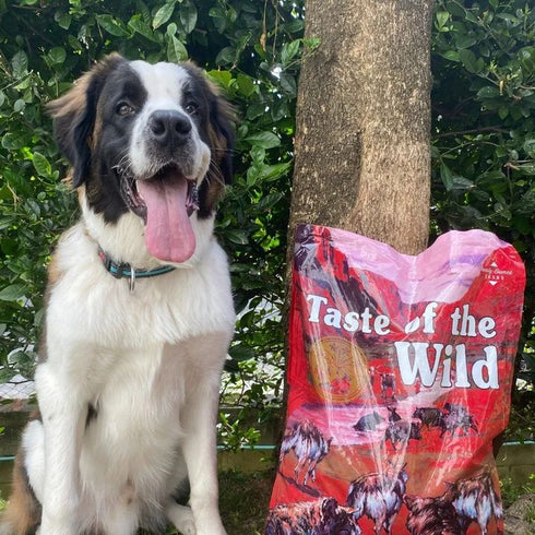 Taste of the Wild Southwest Canyon Dry Dog Food - Wild Boar - 5lb Bag