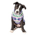 Chilly Dog Knitted Dog Sweater - X-Small - Lavender Flowers