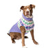Chilly Dog Knitted Dog Sweater - X-Small - Lavender Flowers