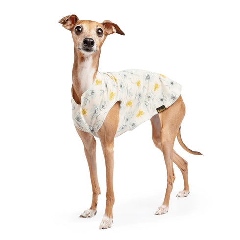 Goldpaw Sun Dog & Cat Sun Protecting Tee - Bees - Size 18