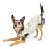 Goldpaw Sun Dog & Cat Sun Protecting Tee - Bees - Size 18