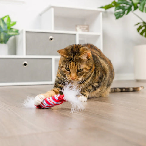 Huxley & Kent Lit donut & Peppermint Candy Cat Toy - 2 Pack