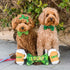 Huxley & Kent Bow Tie Lucky Shamrock Large
