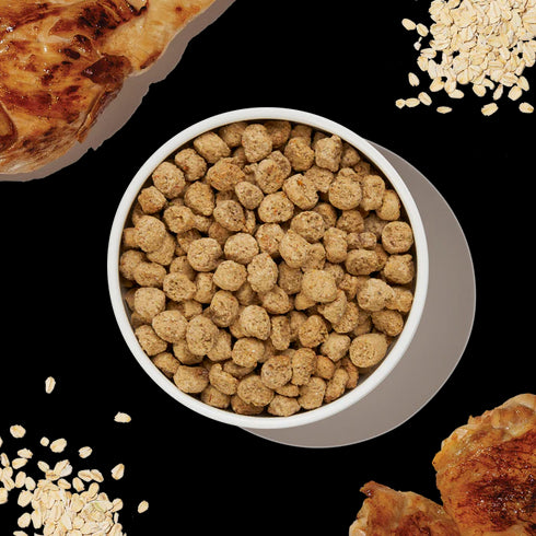 The Honest Kitchen Whole Grain Clusters Dry Dog Food - Chicken & Beef - 20lb Bag