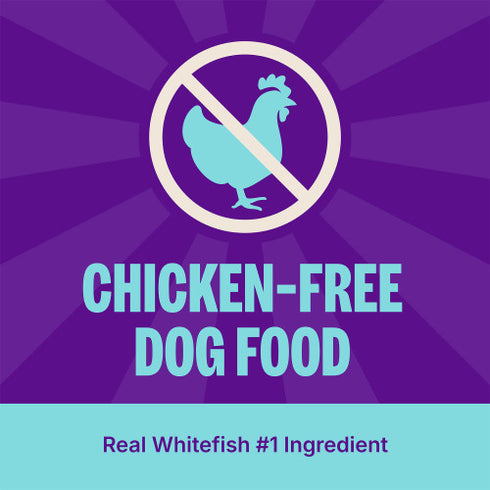 Wellness CORE Grain Free Dry Dog Food - Oceanfish - 18lb Bag
