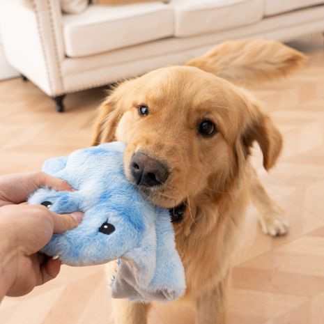 Tall Tails Animated Manta Ray Dog Toy - 9"