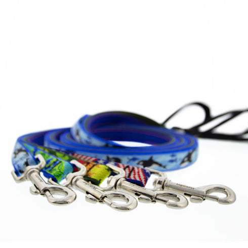 Lupine Pet MicroBatch Limited Design Dog Leash - 1" x 4' - Orcas