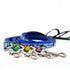 Lupine Pet MicroBatch Limited Design Dog Leash - 1" x 4' - Orcas