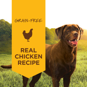 Instinct Original Wet Dog Food - Real Chicken - 13.2oz Can