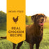 Instinct Original Wet Dog Food - Real Chicken - 13.2oz Can