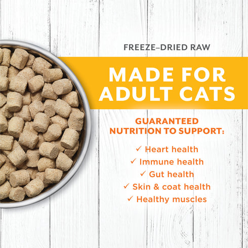 Instinct Raw Longevity Freeze Dried Cat Food - Cage-Free Chicken - 9.5oz Bag
